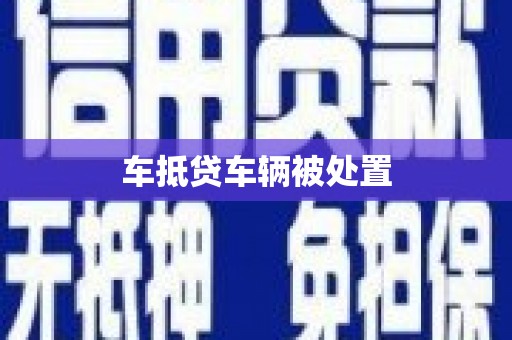 龟山车抵贷车辆被处置