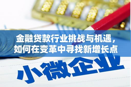 金寨金融贷款行业挑战与机遇，如何在变革中寻找新增长点