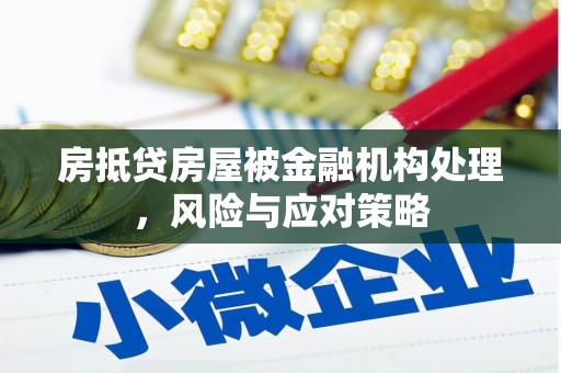 南市房抵贷房屋被金融机构处理，风险与应对策略