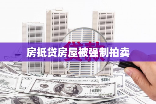 和布克赛尔房抵贷房屋被强制拍卖