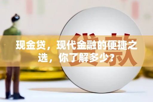 和布克赛尔现金贷，现代金融的便捷之选，你了解多少？