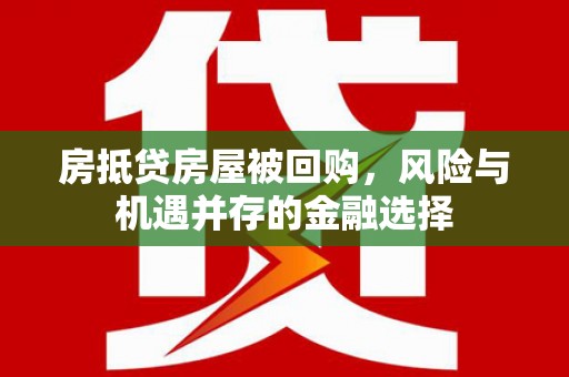 和布克赛尔房抵贷房屋被回购，风险与机遇并存的金融选择