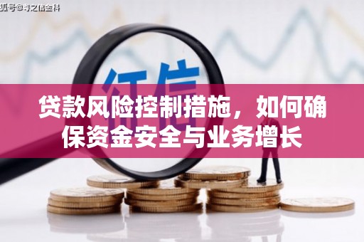 沧县贷款风险控制措施，如何确保资金安全与业务增长