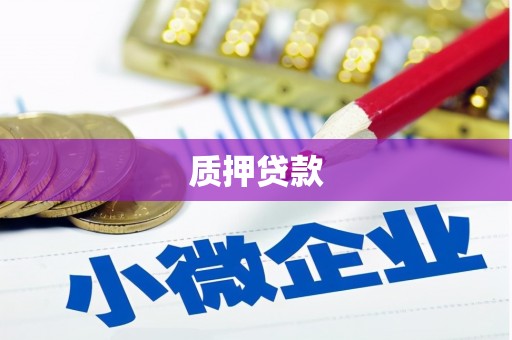 大冶质押贷款