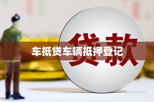 沅江车抵贷车辆抵押登记
