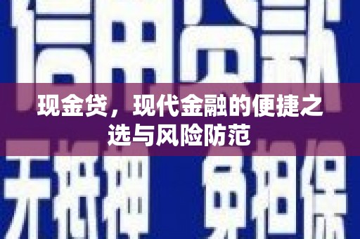卑南现金贷，现代金融的便捷之选与风险防范