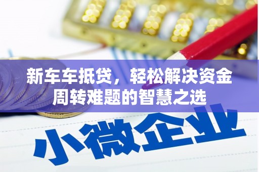 卑南新车车抵贷，轻松解决资金周转难题的智慧之选