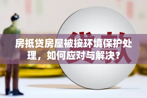 西塞山房抵贷房屋被按环境保护处理，如何应对与解决？