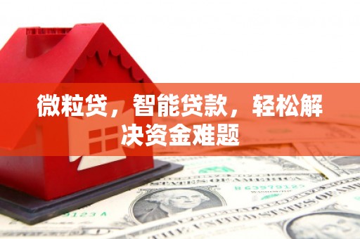 新荣微粒贷，智能贷款，轻松解决资金难题