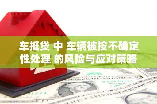 洋山车抵贷 中 车辆被按不确定性处理 的风险与应对策略