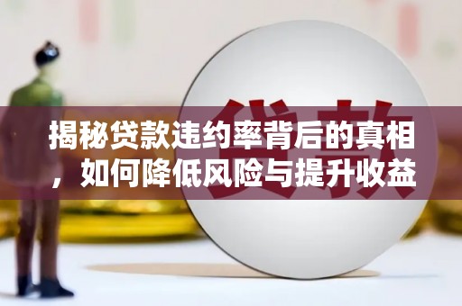 林芝揭秘贷款违约率背后的真相，如何降低风险与提升收益
