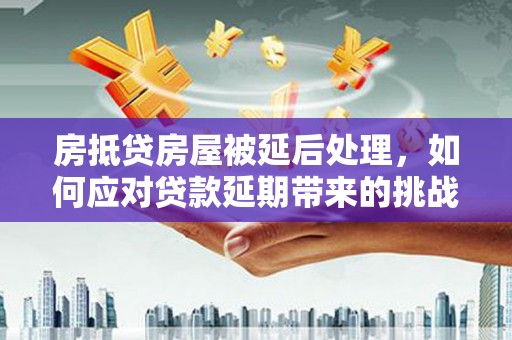 芦溪房抵贷房屋被延后处理，如何应对贷款延期带来的挑战？