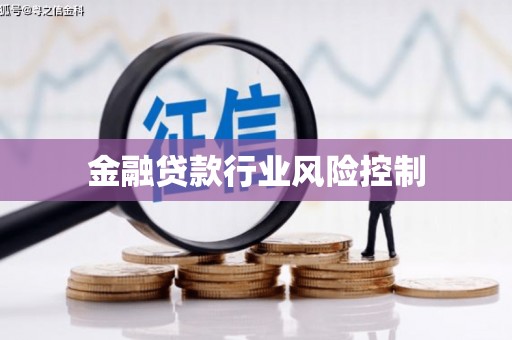 大林金融贷款行业风险控制
