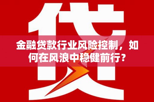 大堂金融贷款行业风险控制，如何在风浪中稳健前行？
