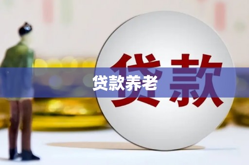 泾川贷款养老