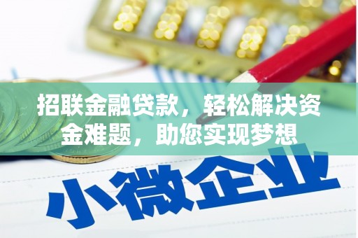 新田招联金融贷款，轻松解决资金难题，助您实现梦想