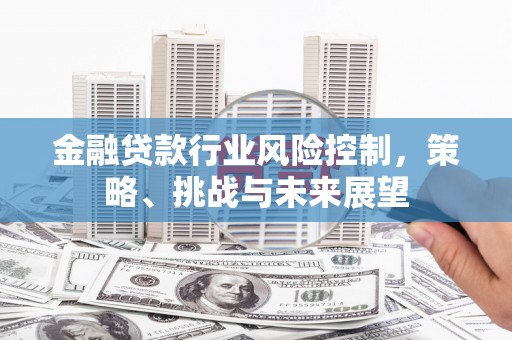 太麻里金融贷款行业风险控制，策略、挑战与未来展望