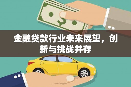 太麻里金融贷款行业未来展望，创新与挑战并存