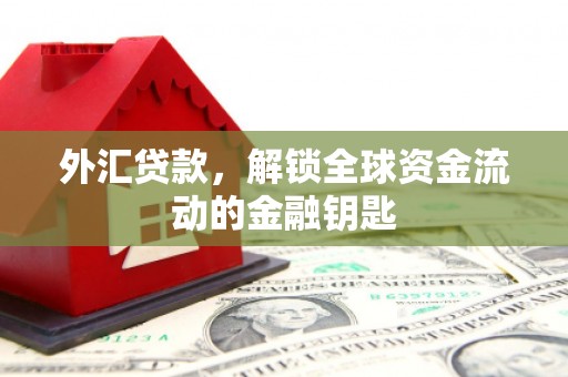 五通桥外汇贷款，解锁全球资金流动的金融钥匙