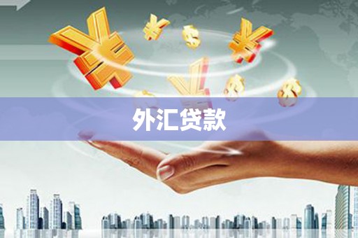 五通桥外汇贷款