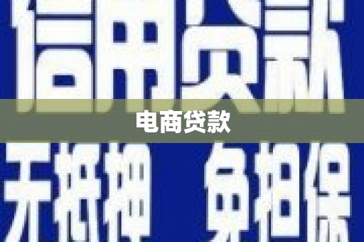 望奎电商贷款