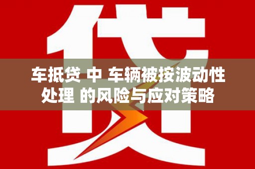 师宗车抵贷 中 车辆被按波动性处理 的风险与应对策略