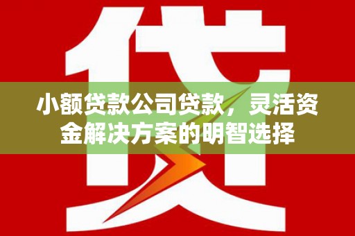本溪小额贷款公司贷款，灵活资金解决方案的明智选择