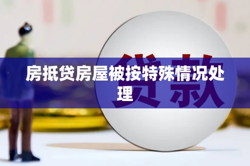 泸水房抵贷房屋被按特殊情况处理