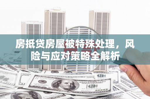 鱼池房抵贷房屋被特殊处理，风险与应对策略全解析