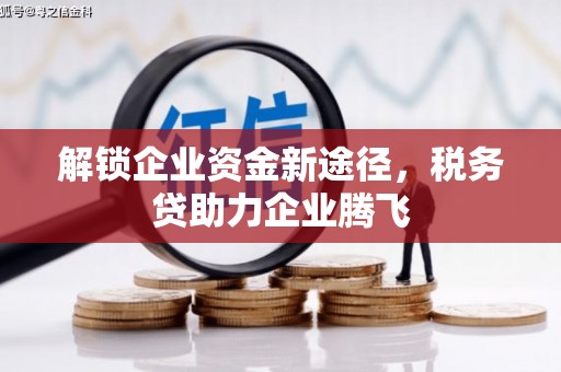 狮子解锁企业资金新途径，税务贷助力企业腾飞