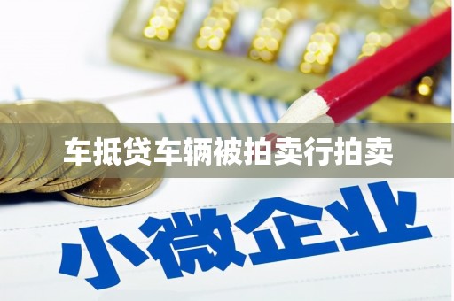 肇源车抵贷车辆被拍卖行拍卖