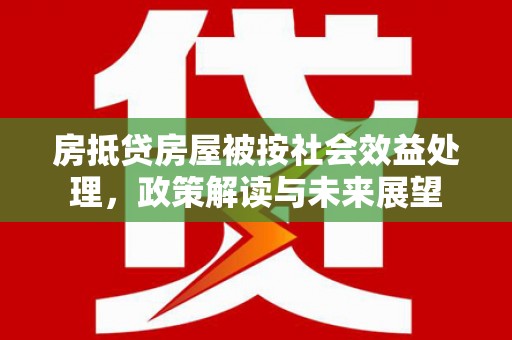 兴城房抵贷房屋被按社会效益处理，政策解读与未来展望