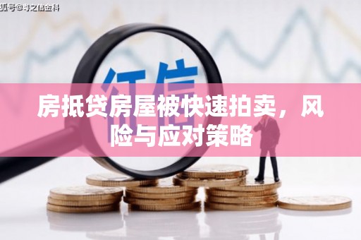 惠阳房抵贷房屋被快速拍卖，风险与应对策略