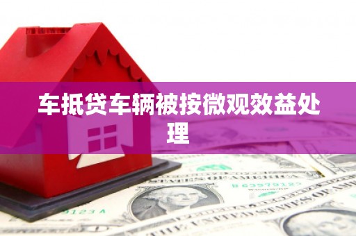 惠阳车抵贷车辆被按微观效益处理