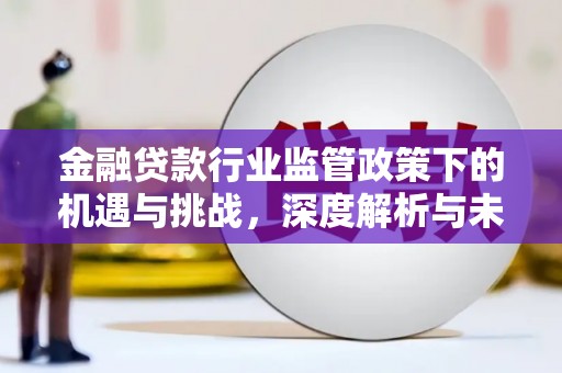 金城江金融贷款行业监管政策下的机遇与挑战，深度解析与未来展望