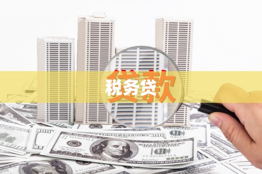 根河税务贷