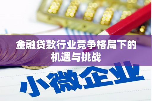 横山金融贷款行业竞争格局下的机遇与挑战