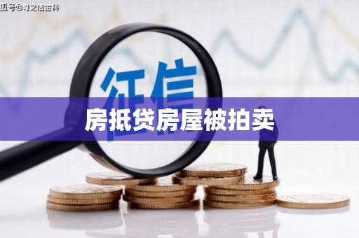 木里房抵贷房屋被拍卖