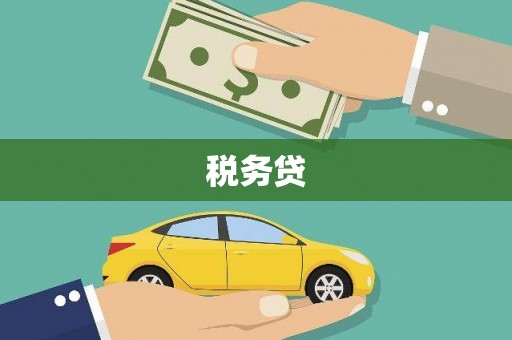 石台税务贷