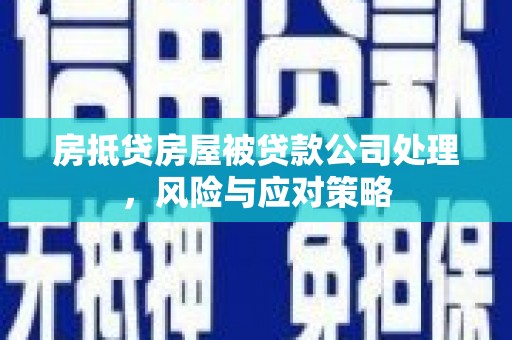 道真房抵贷房屋被贷款公司处理，风险与应对策略