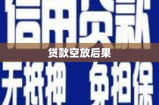道真贷款空放后果