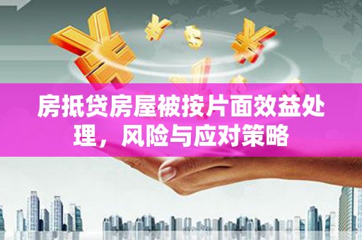 蒙阴房抵贷房屋被按片面效益处理，风险与应对策略