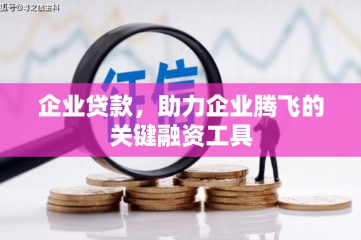 蒙阴企业贷款，助力企业腾飞的关键融资工具
