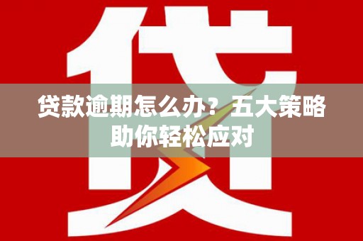 桦甸贷款逾期怎么办？五大策略助你轻松应对