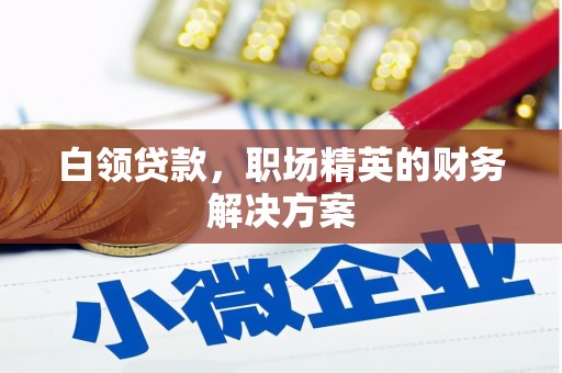 湘潭白领贷款，职场精英的财务解决方案