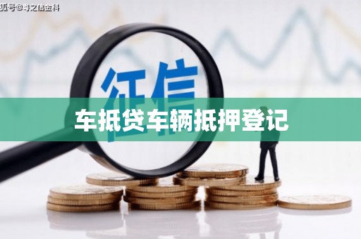 鸟松车抵贷车辆抵押登记