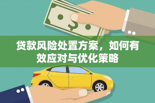 兴安贷款风险处置方案，如何有效应对与优化策略