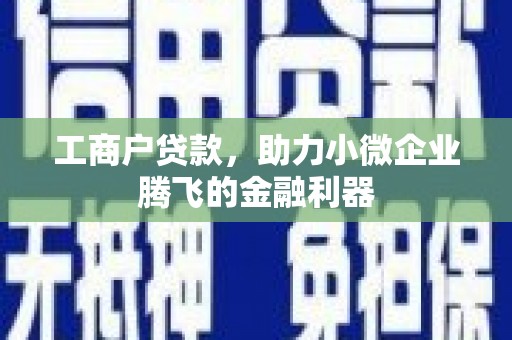 观山湖工商户贷款，助力小微企业腾飞的金融利器