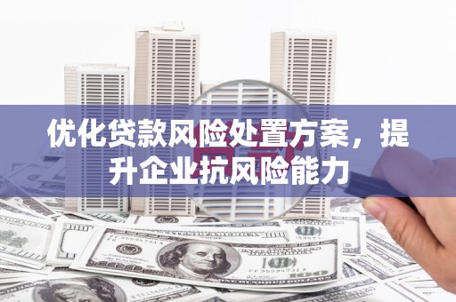 阳山优化贷款风险处置方案，提升企业抗风险能力