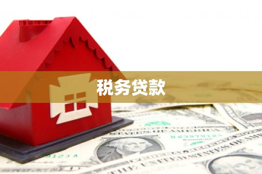 阳山税务贷款
